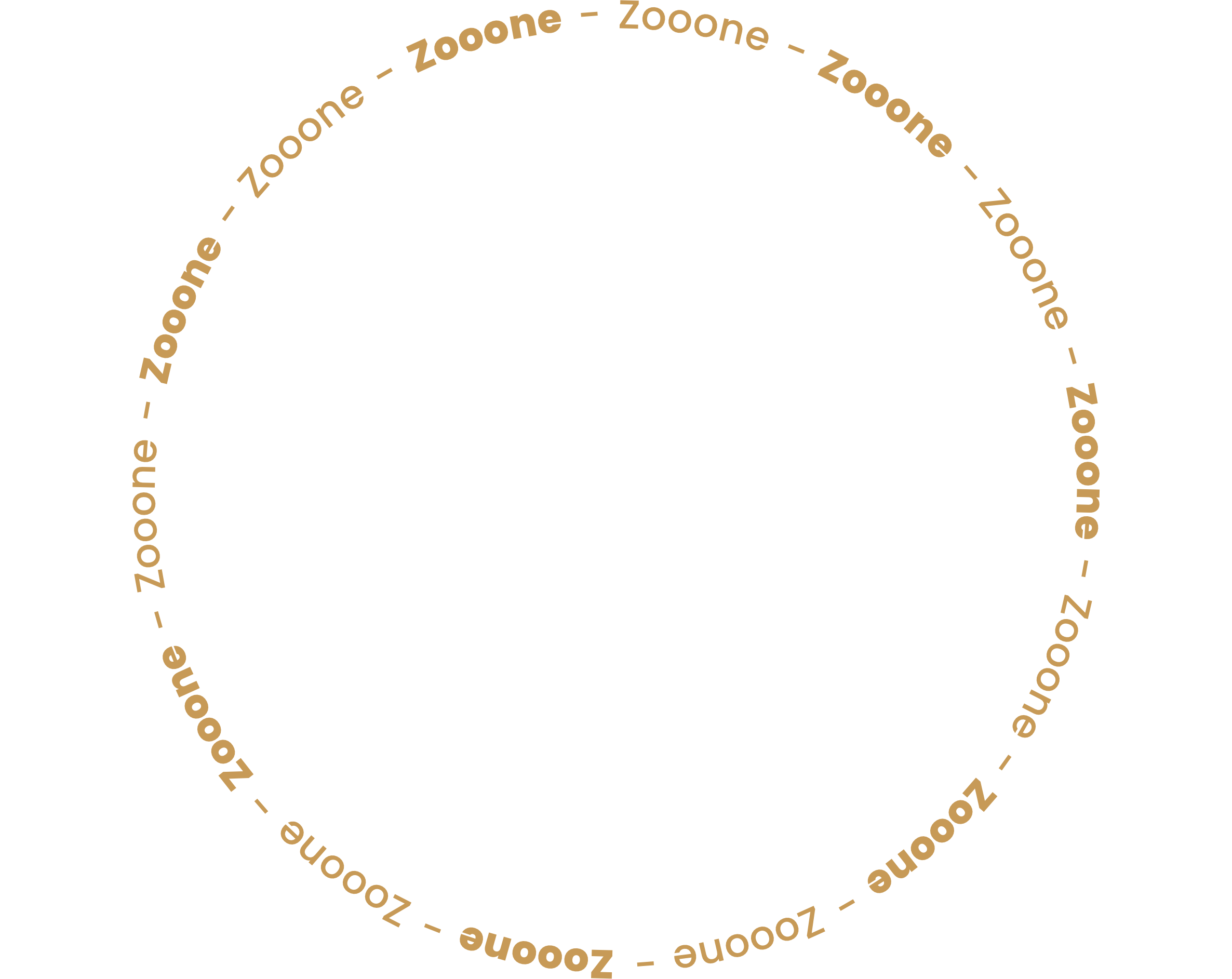 circulo2.png
